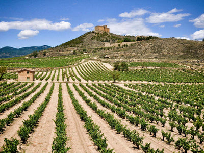 Ribera del Duero