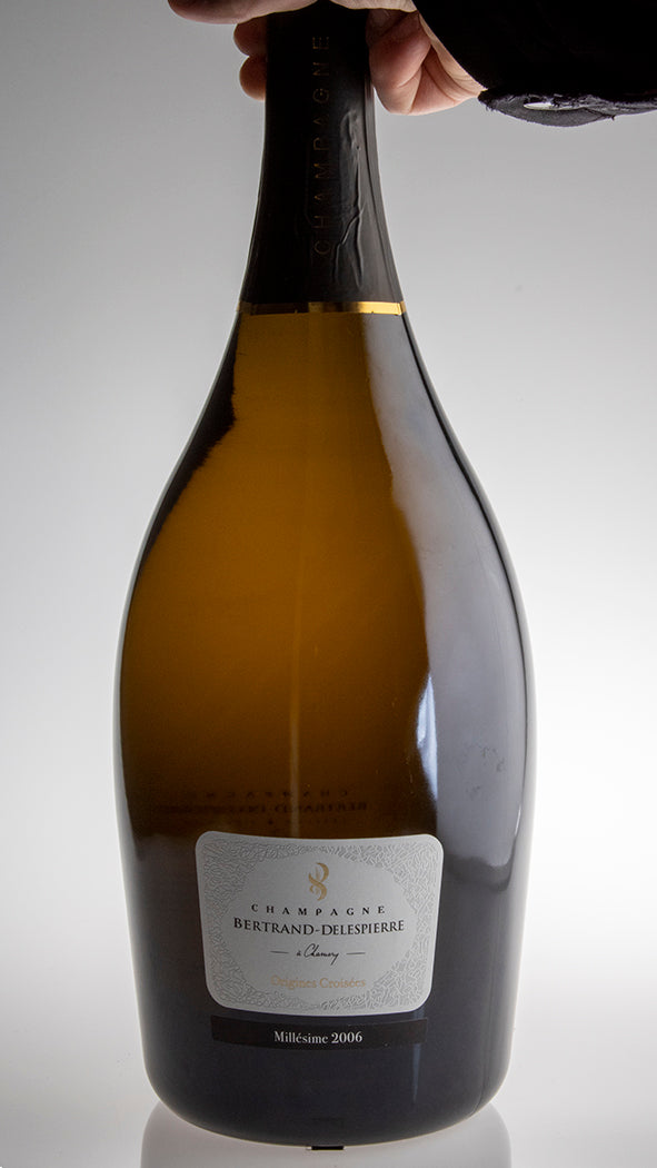 2006, Origines Croisées, Jeroboam